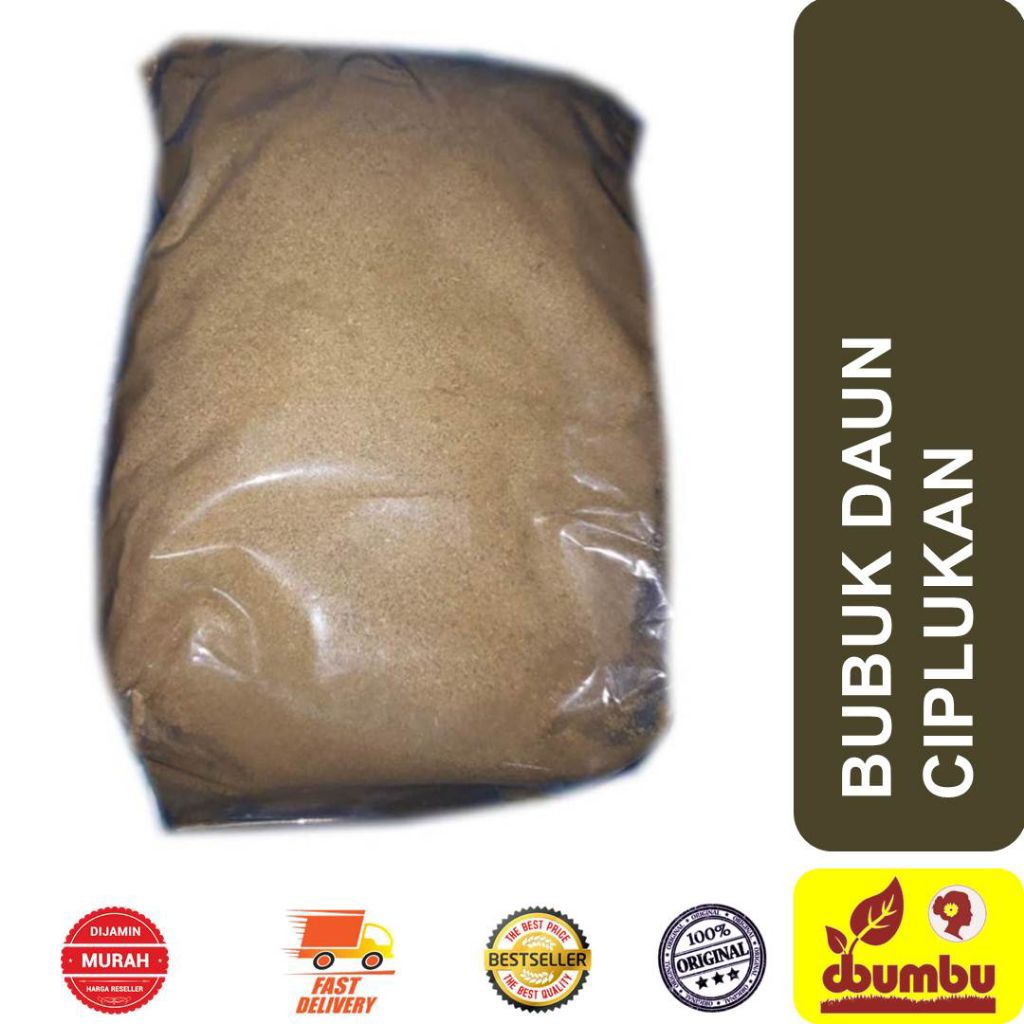 bubuk daun ciplukan 1kg original