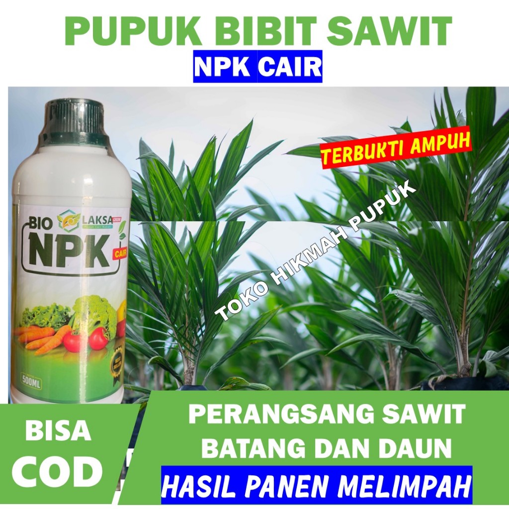 pupuk pelebat penyubur bibit kelapa sawit NPK LAKSA umbi dan buah - melebatkan tanaman kelapa sawit 