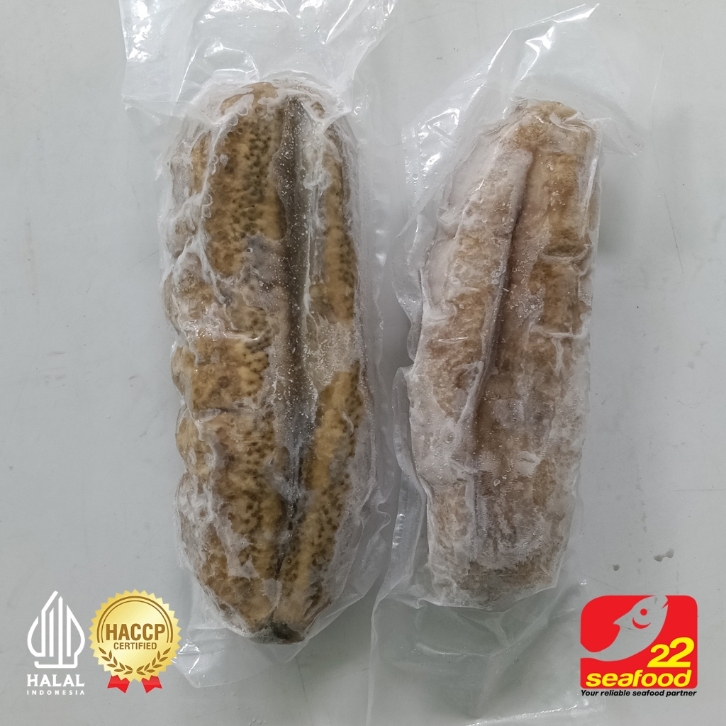 Teripang Susu  (Super) besar / Kecil / 1 kg / 22 Seafood