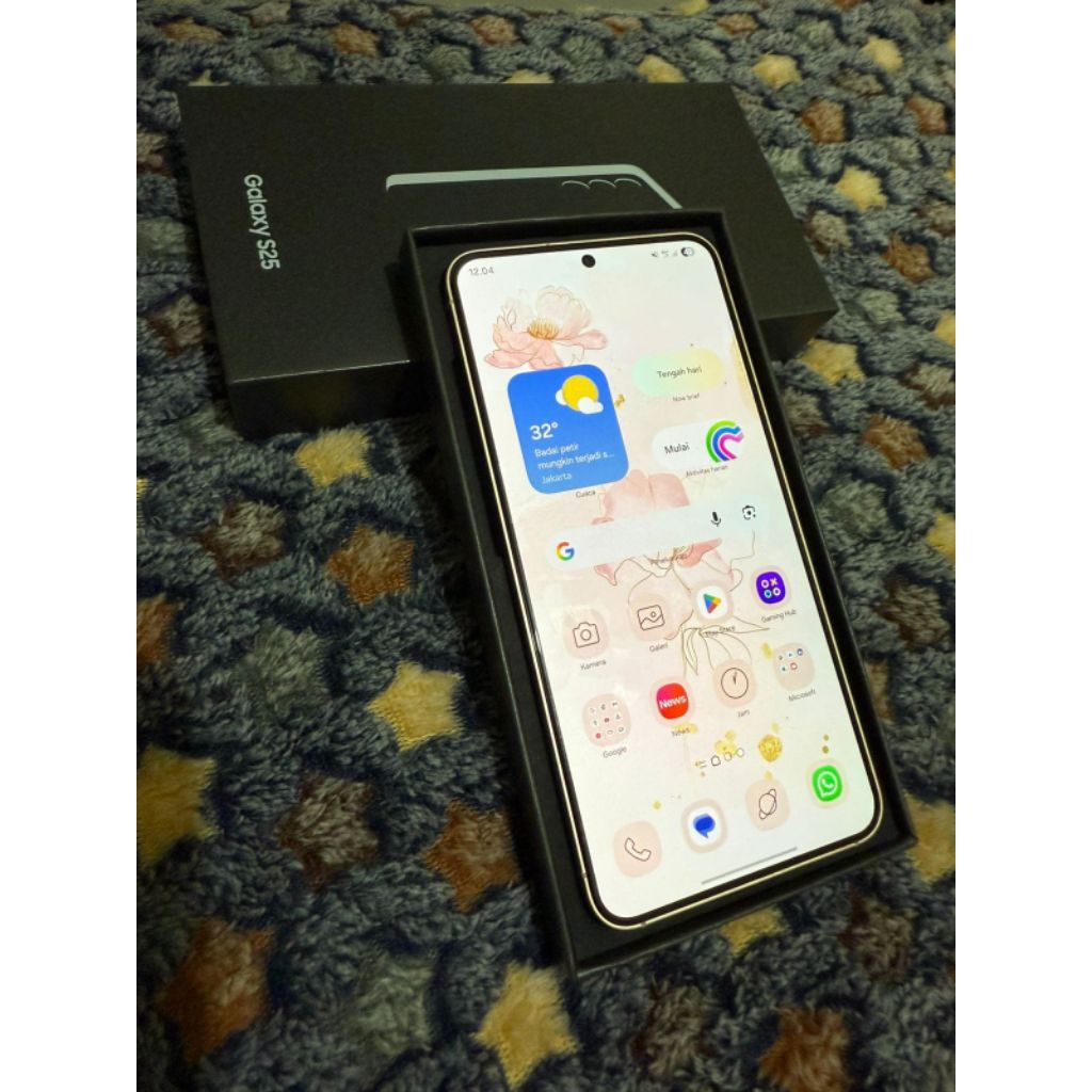 Samsung Galaxy S25 Basic