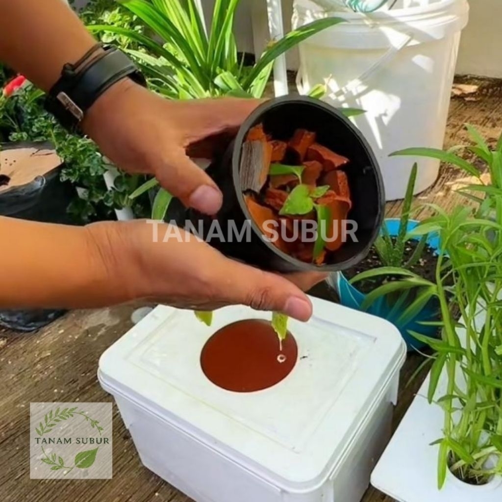 Pecahan genteng 1kg untuk media dasar tanaman, pot dan media hidroponik | pecahan genteng untuk dasa