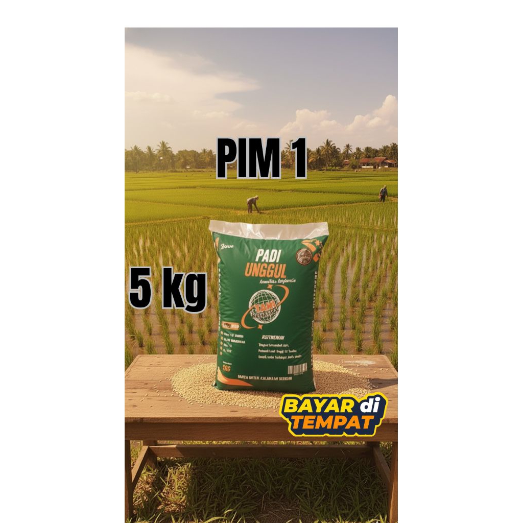 Benih padi unggul PIM 1 kemasan 5 kg kualitas original premium