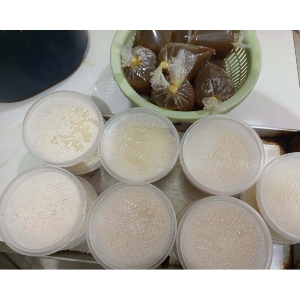 Tahwa/Kembang Tahu kuah jahe Homemade