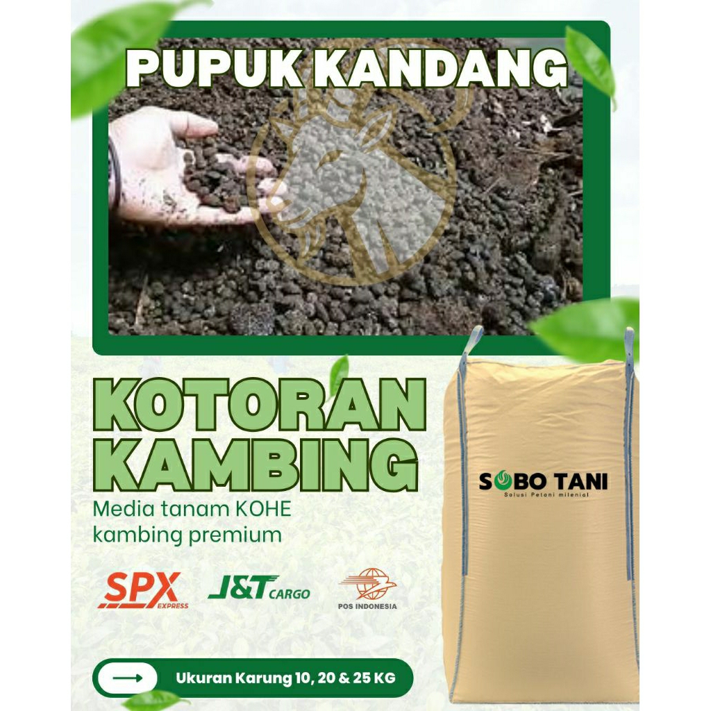 pupuk kandang kotoran kambing