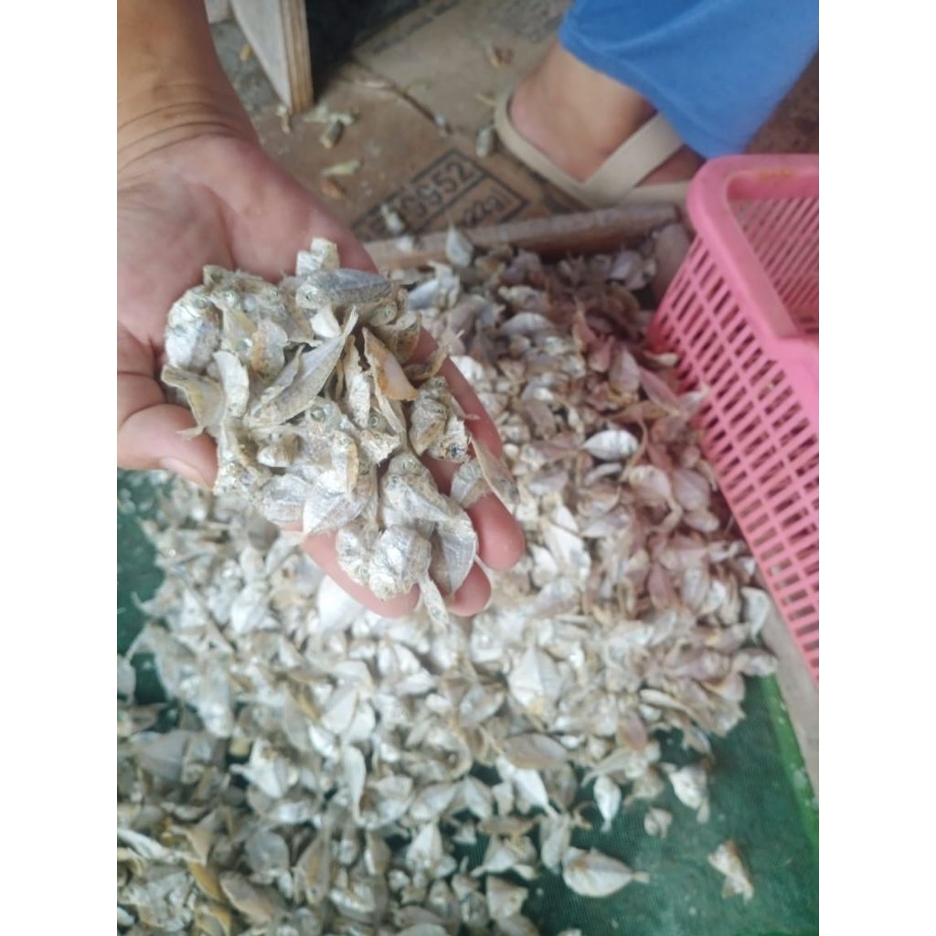 Ikan Petek Kecil Asin