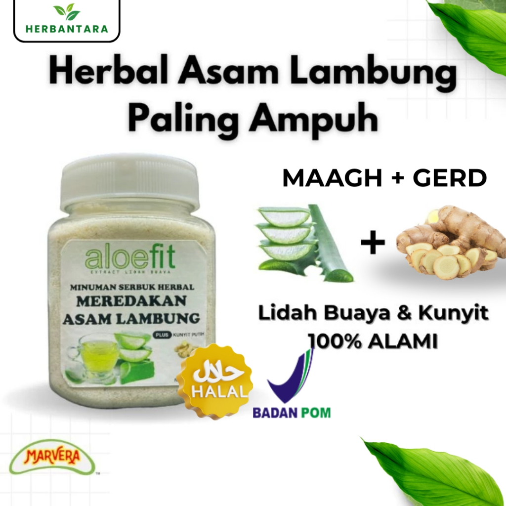 Herbal Asam Lambung Maag Gerd Obat Asam Lambung 100% Alami Lidah Buaya Kunyit Putih