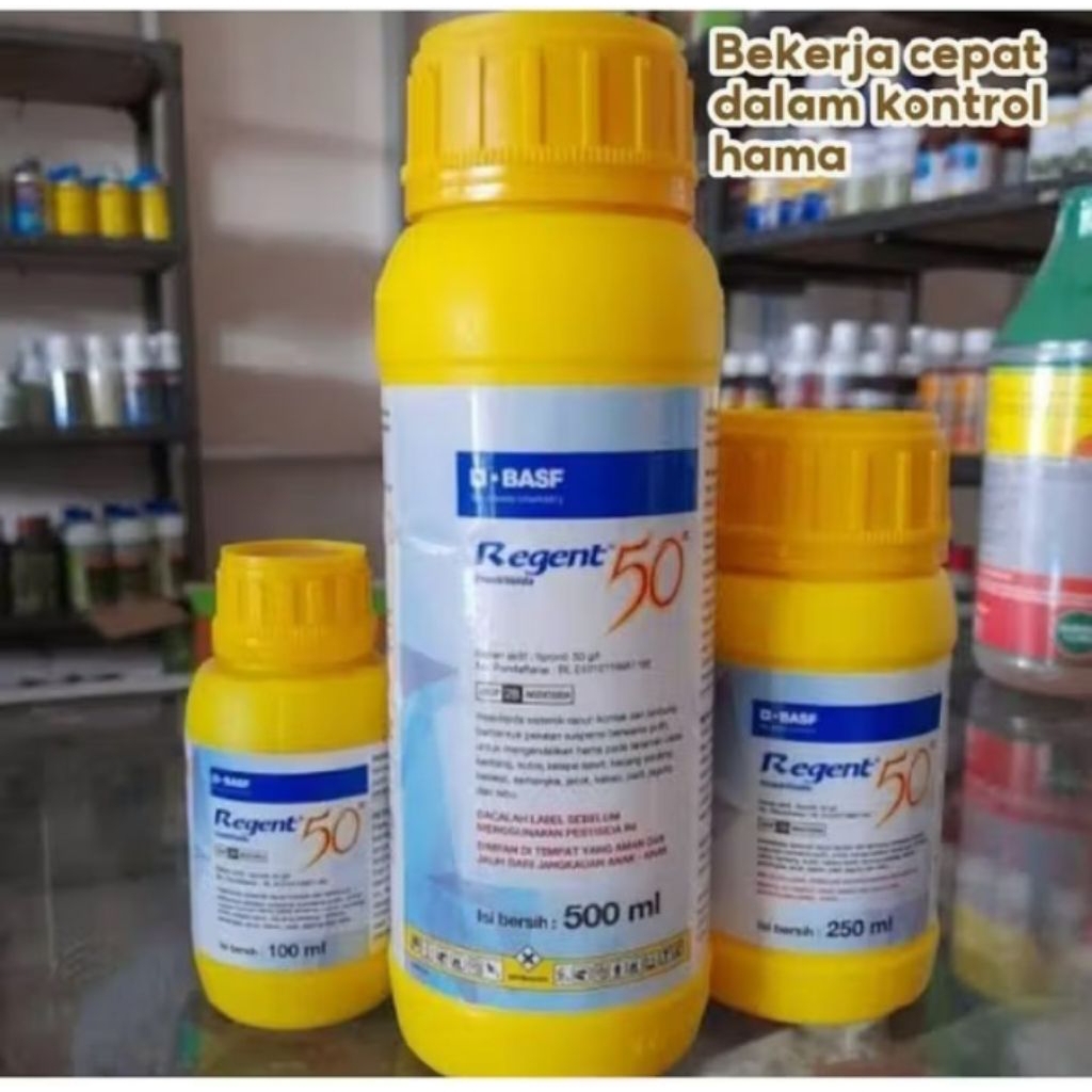 REGENT 500 ML