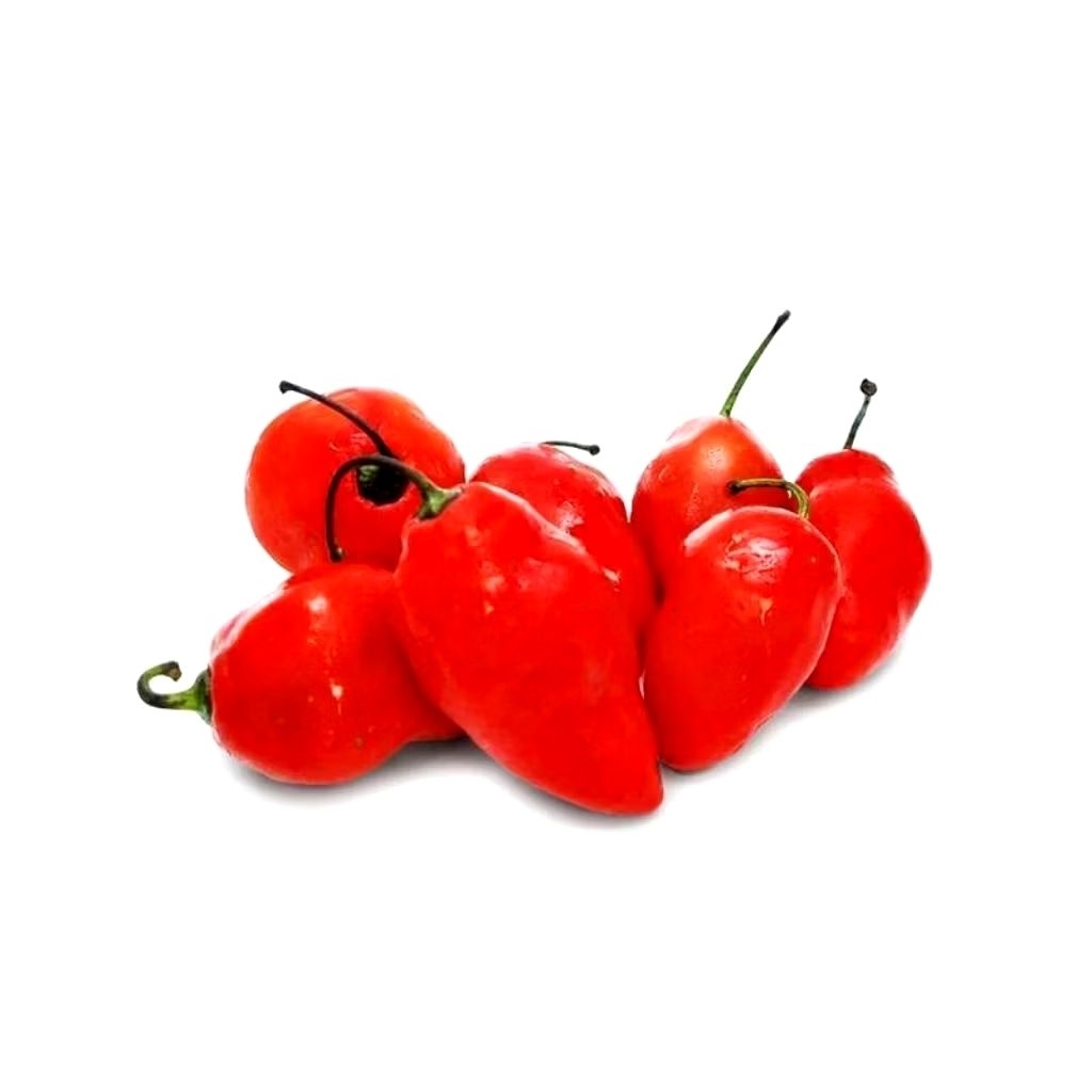 1KG CABE GENDOT MERAH MATANG POHON