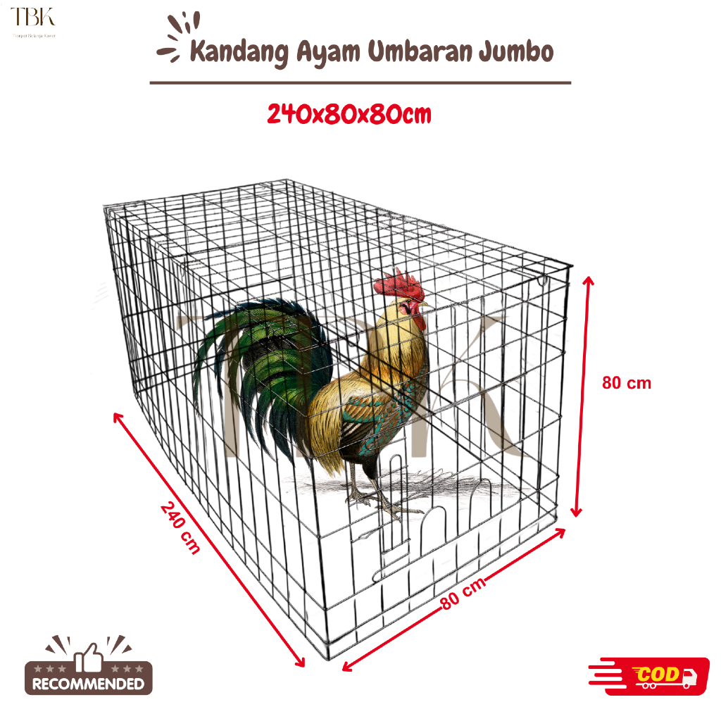KANDANG AYAM UMBARAN GALVANIS | KANDANG AYAM JAGO | UKURAN 240x80x80 CM | BEST SELLER