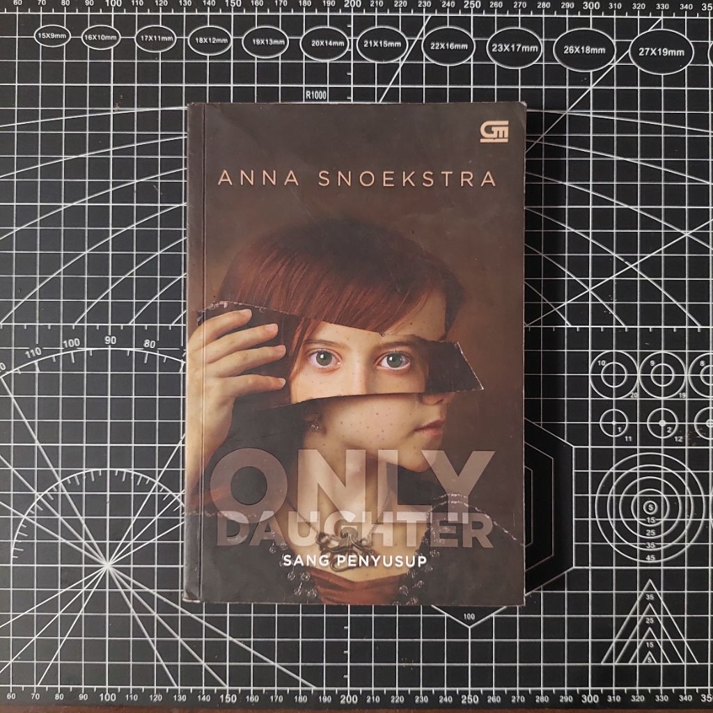 PRELOVED BOOK - Novel Only Daughter - Anna Snoekstra