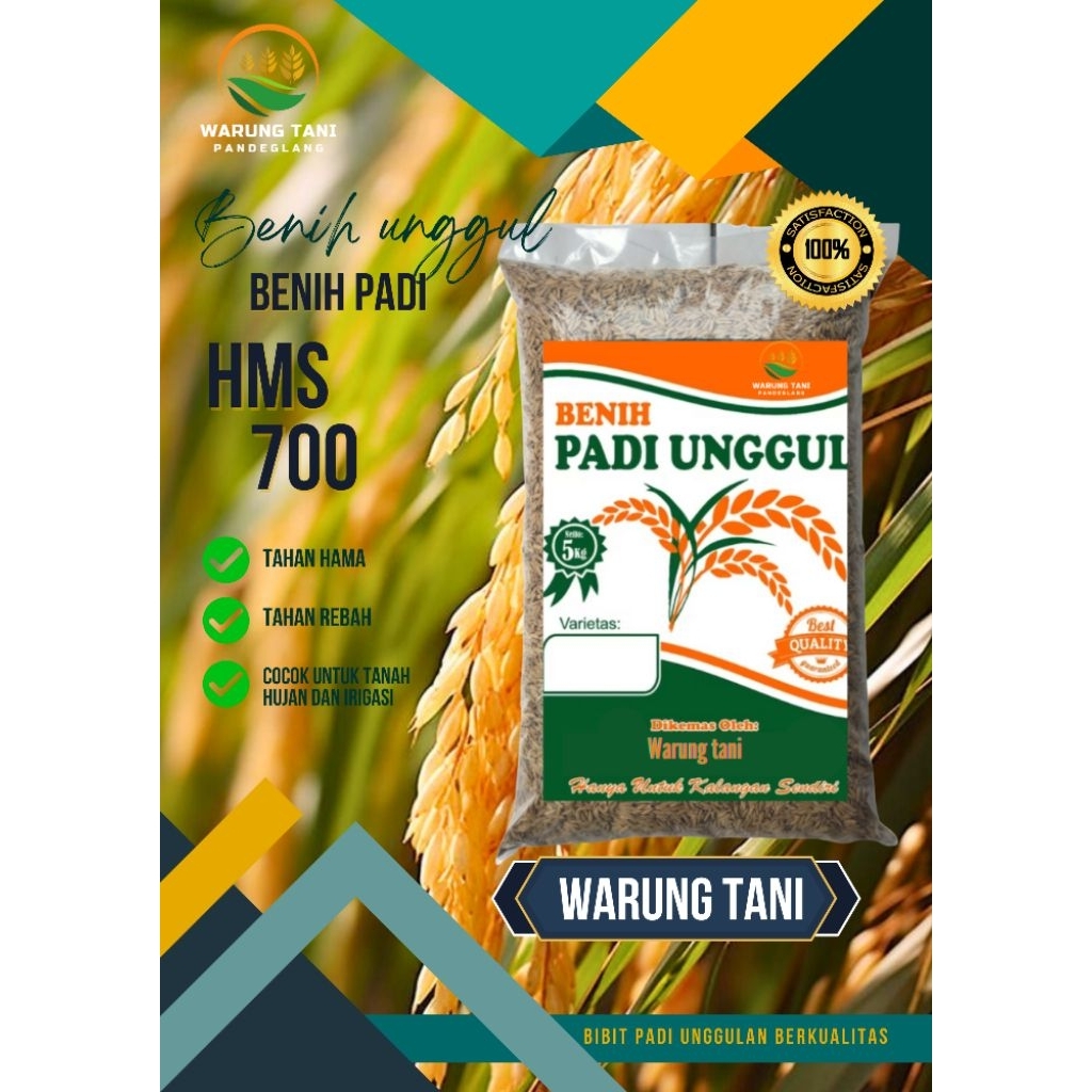 BENIH PADI BIBIT HMS 700 KEMASAN 5 KG