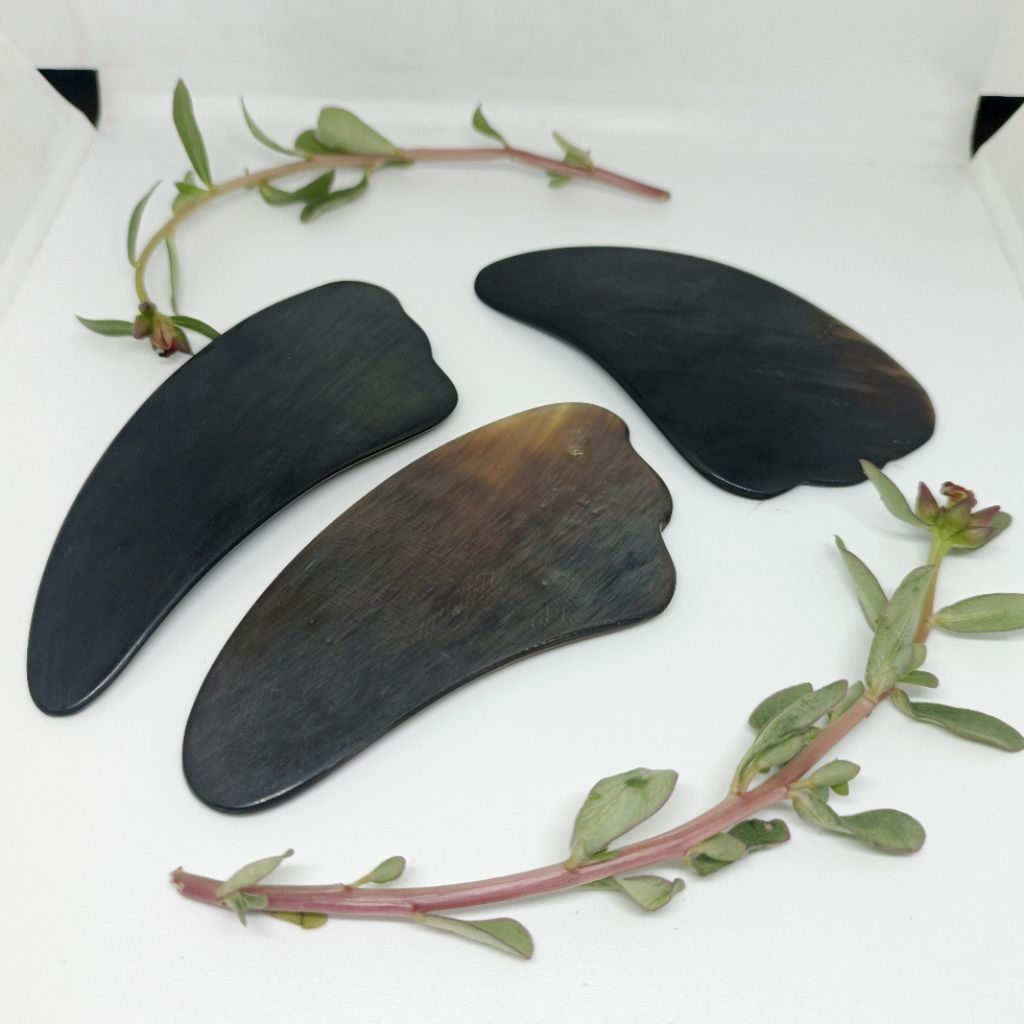 guasha facial asli tanduk sapi berkualitas