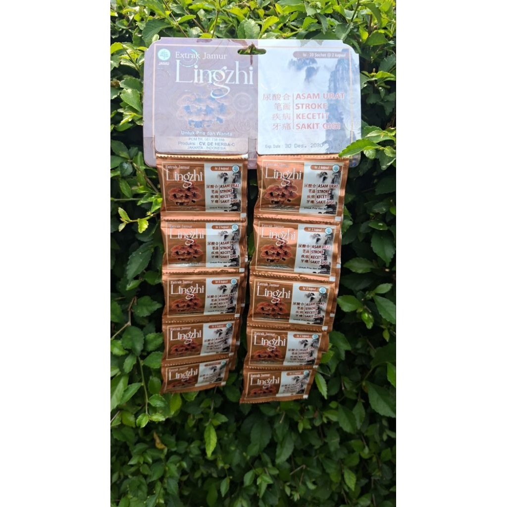 Extract Jamur Lingzhi Kapsul Original