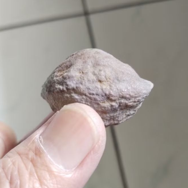 Kemiri Adu Muncang Adu Yanti Arum Urgen Full Tua