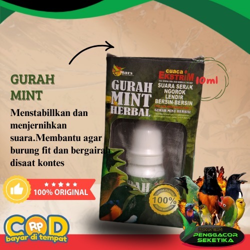 GURAH MINT HERBAL Serak Volume Burung