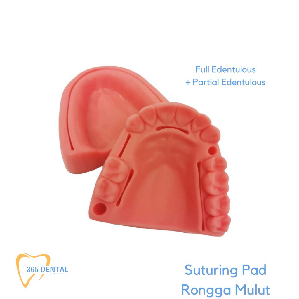 Gum Pad Latihan Suturing Gusi Jahit Kedokteran Gigi Rahang Palsu Elastis Rahang Silicone