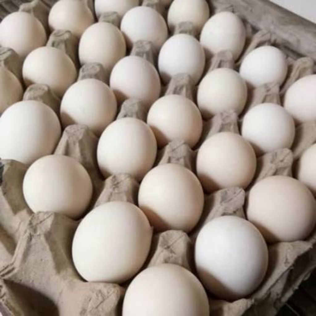 Telur Ayam Kampung Omega