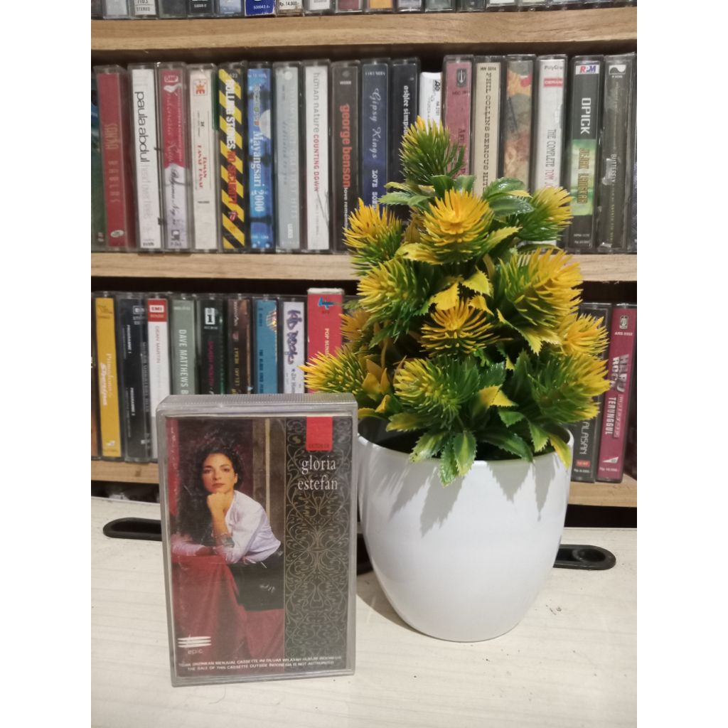KASET GLORIA ESTEFAN RENACER
