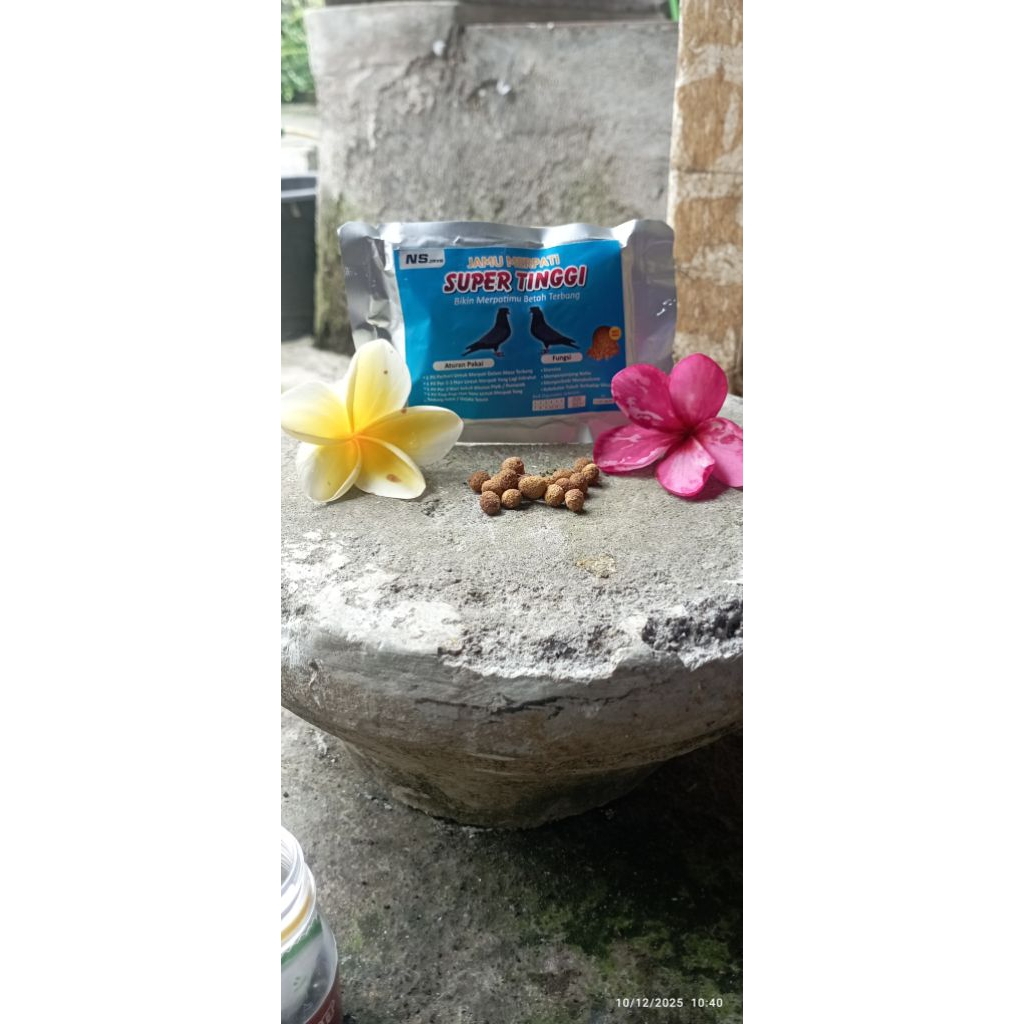 Jamu merpati suplemen untuk merpati balap & tinggian dan kolong