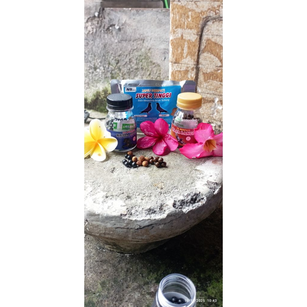 Jamu merpati suplemen untuk merpati balap & tinggian dan kolong