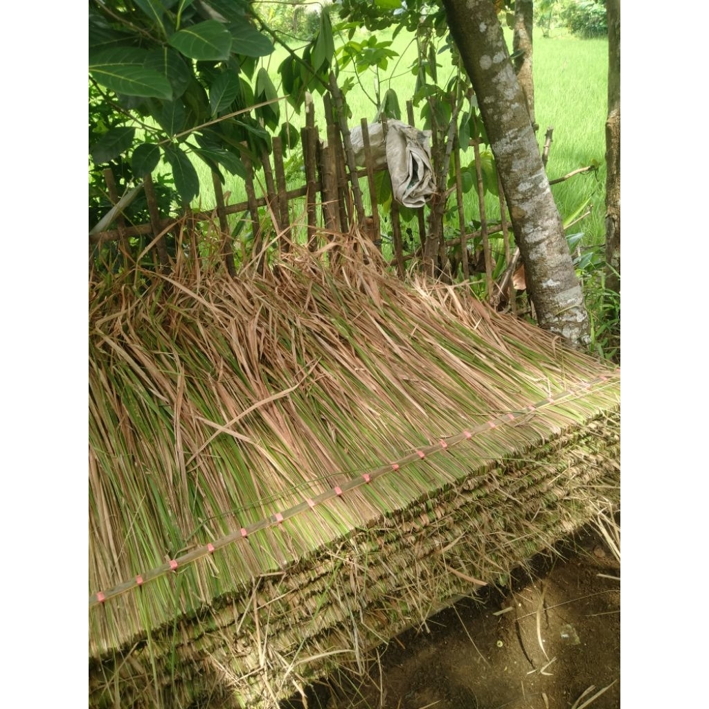 Atap ilalang /atap eurih