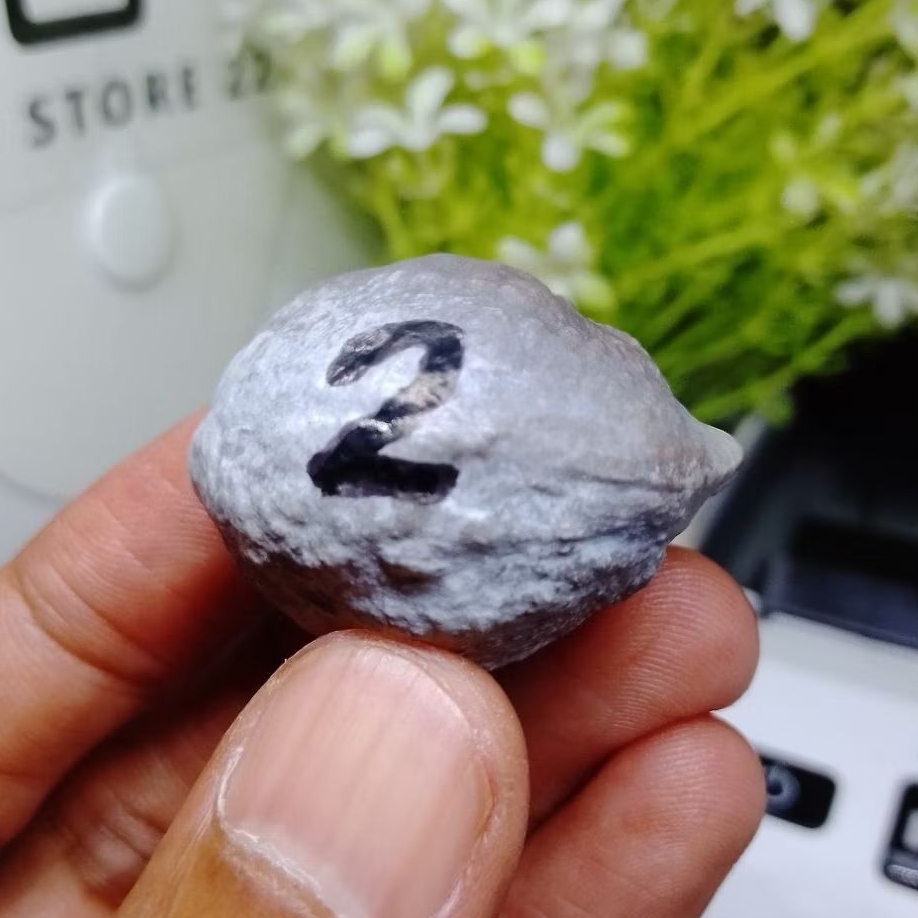 Muncang Adu PAIT Jr Cimaung kode 2