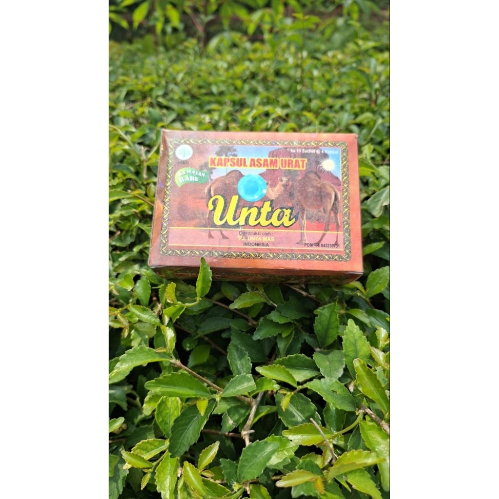 Obat Asam Urat cap Unta Kapsul original