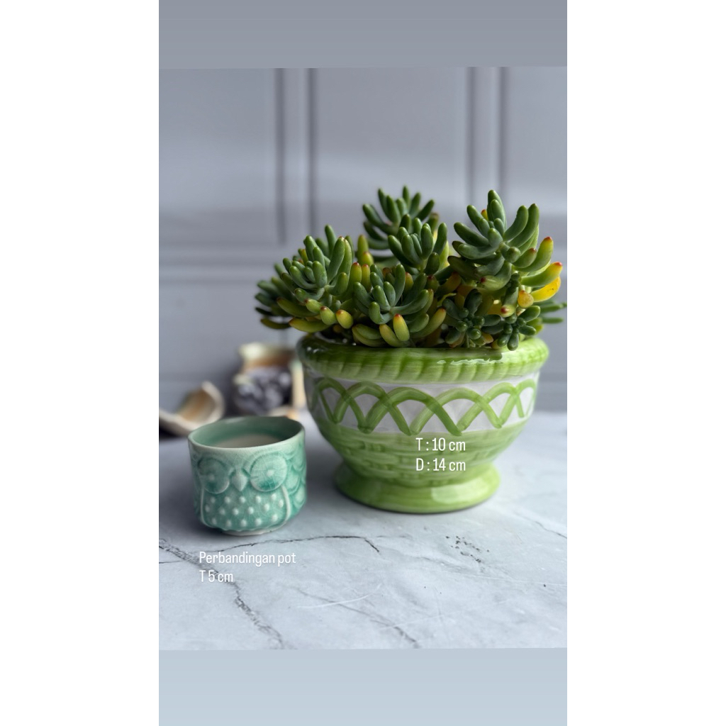 POT KERAMIK BULAT BESAR ANYAM BAMBU