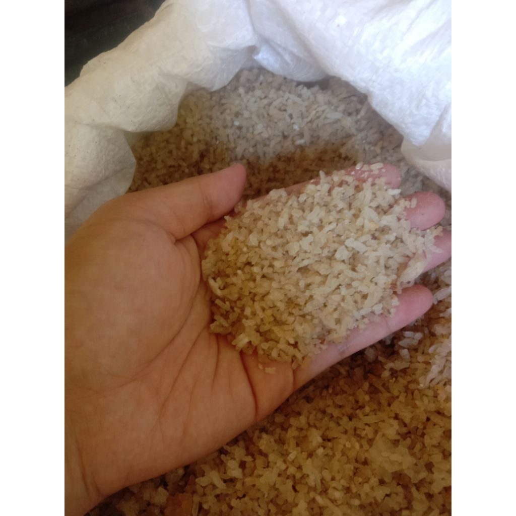 Nasi Aking pakan ternak