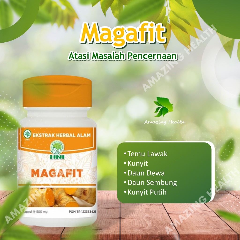 Magafit HNI Herbal Atasi Masalah Lambung & Pencernaan | Magafit HNI