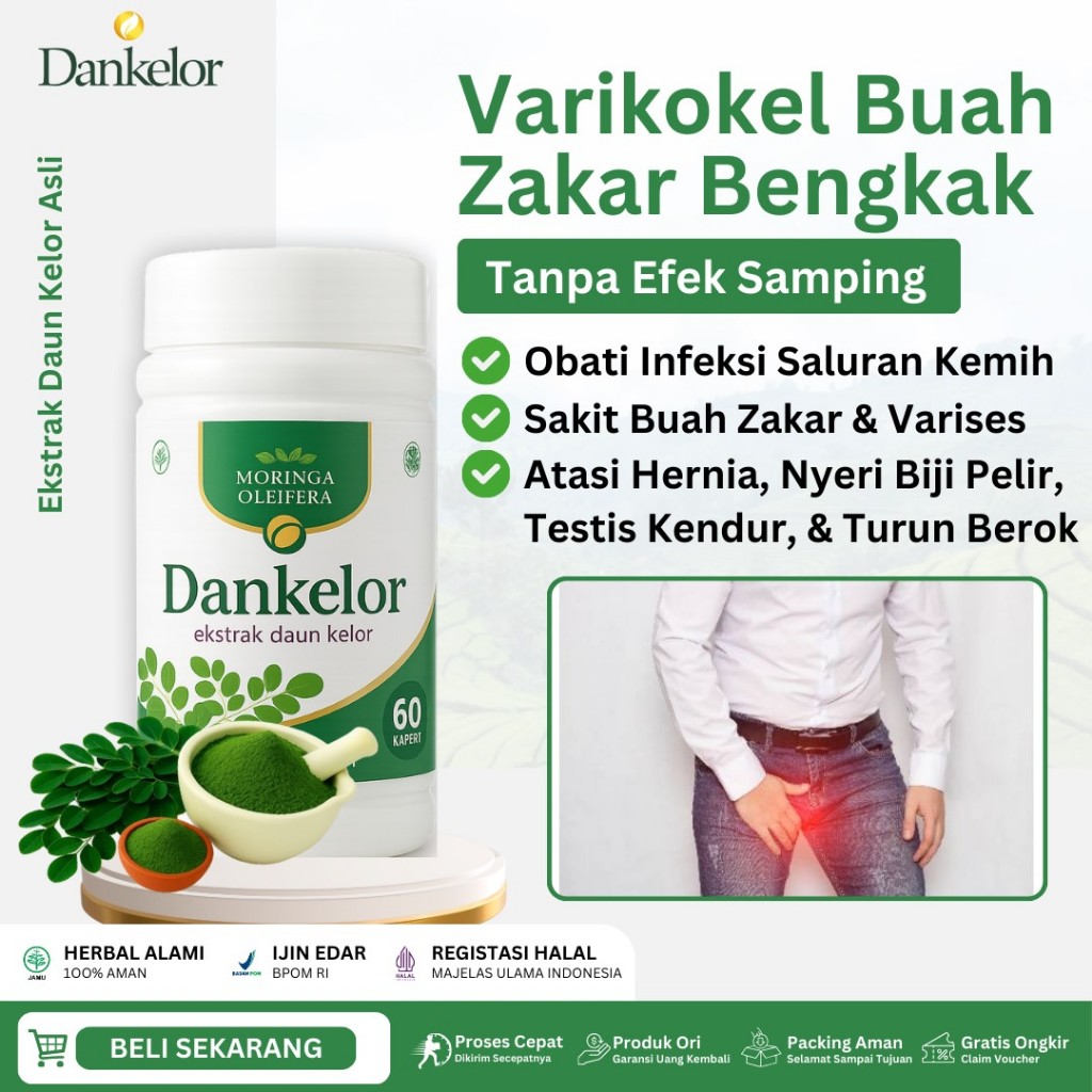 Obat Varikokel Buah Zakar Bengkak Hidrokel Hernia Testis Kendur Sakit Buah Zakar Benjolan di Kelamin