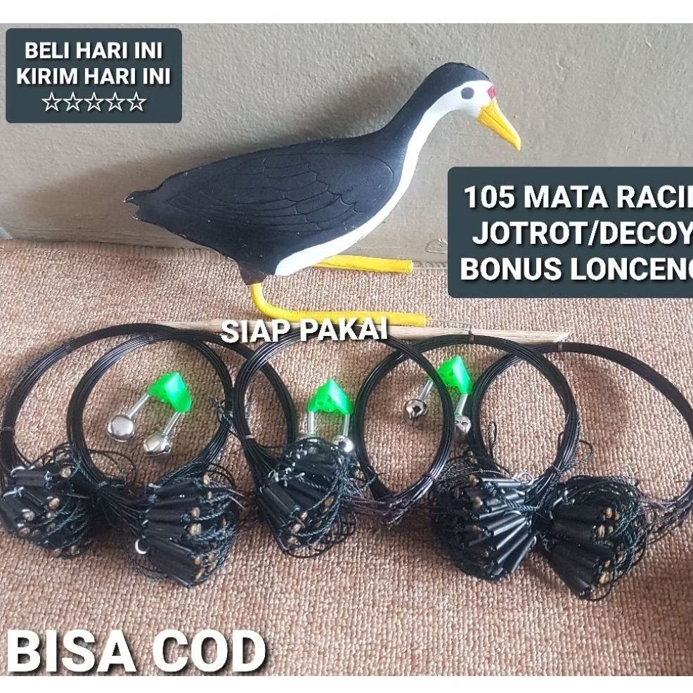 Perangkap Burung Ruak | Racik Ruak | Jerat Burung Ruak | Alat Pikat Burung Ruak | Jebakan Burung Rua