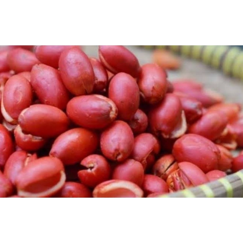 1Kg kulit melinjo merah fresh