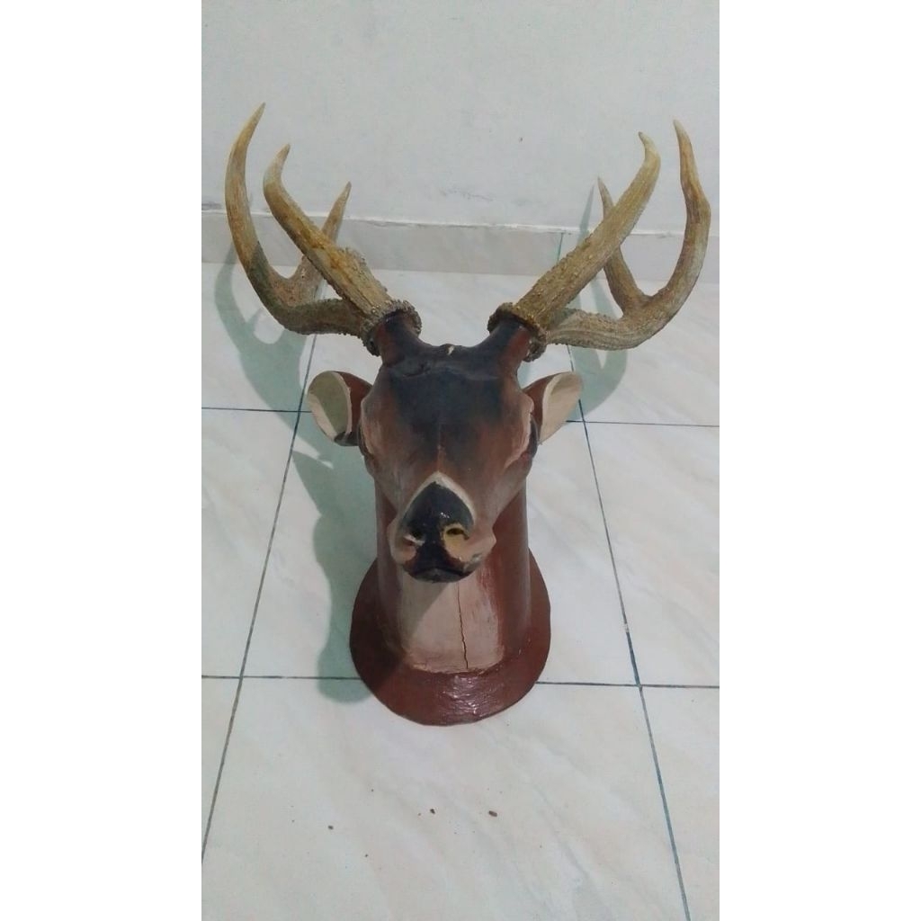 TANDUK RUSA PAPUA BARAT ASLI,kepala replika kayu palaka