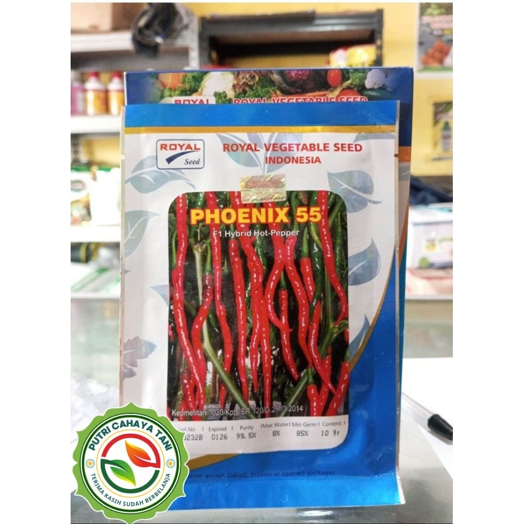 Benih Cabai Kriting PHOENIX F1 10 Gram Royal Seed