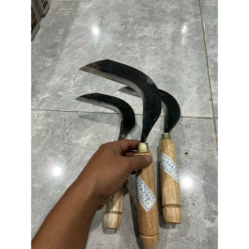 Arit Rumput Padi MURAH BERKUALITAS Bahan Gergaji ( Sutarto )