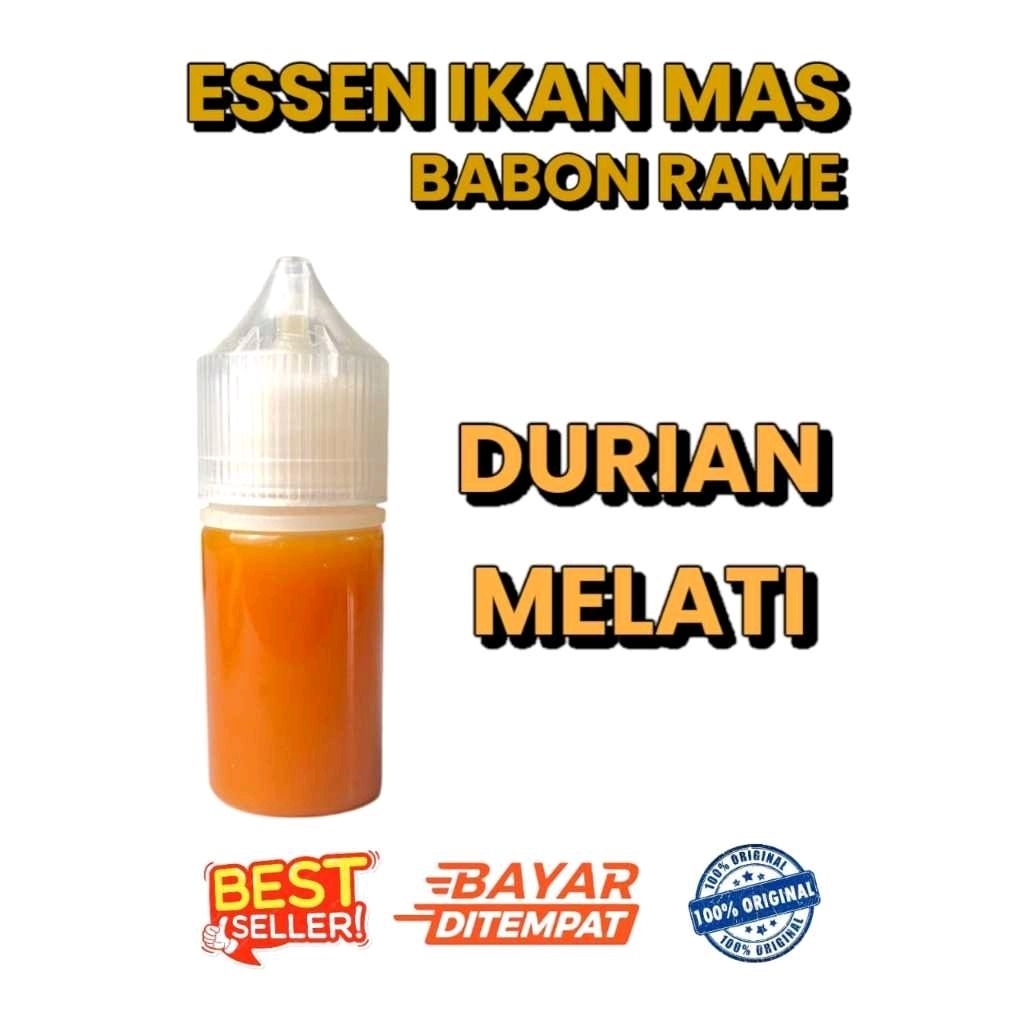 Essen Durian Melati Ikan Mas Babon Rame Terlaris, Essen Ikan Mas Harian Galatama Paling Gacor, Essen
