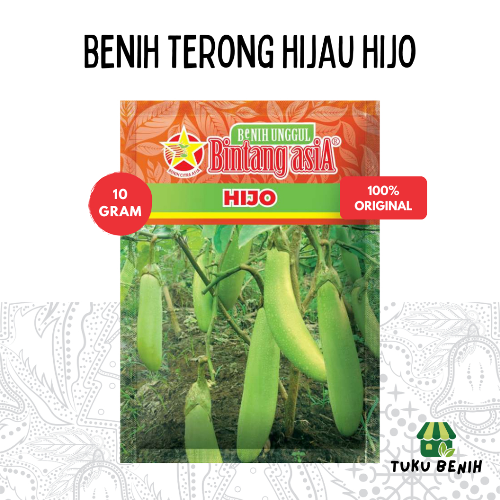 Benih Terong Hijau Hijo 10 Gram - Bintang Asia