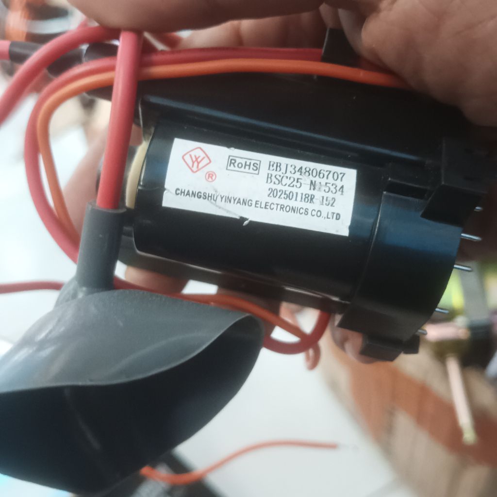 FBT BSC25-N1534 FLAYBACK BSC25 N1534