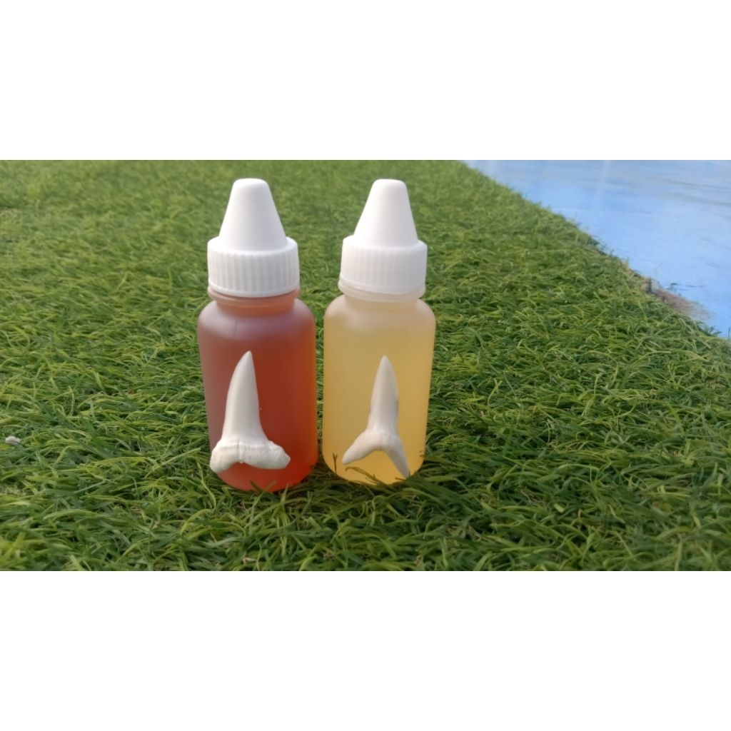 Minyak ikan hiu Asli