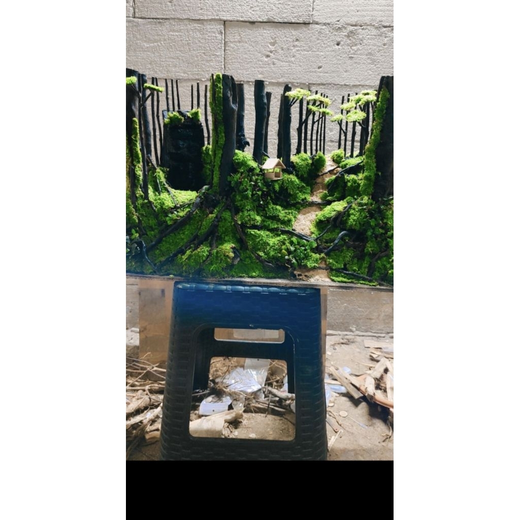 Hardscape jungle cocok untuk tank p 60 cm siap pakai