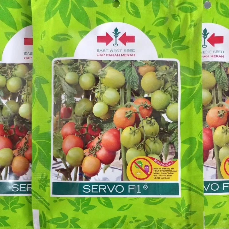 Benih-Bibit Tomat Sayur Servo F1 (Cap Panah Merah)