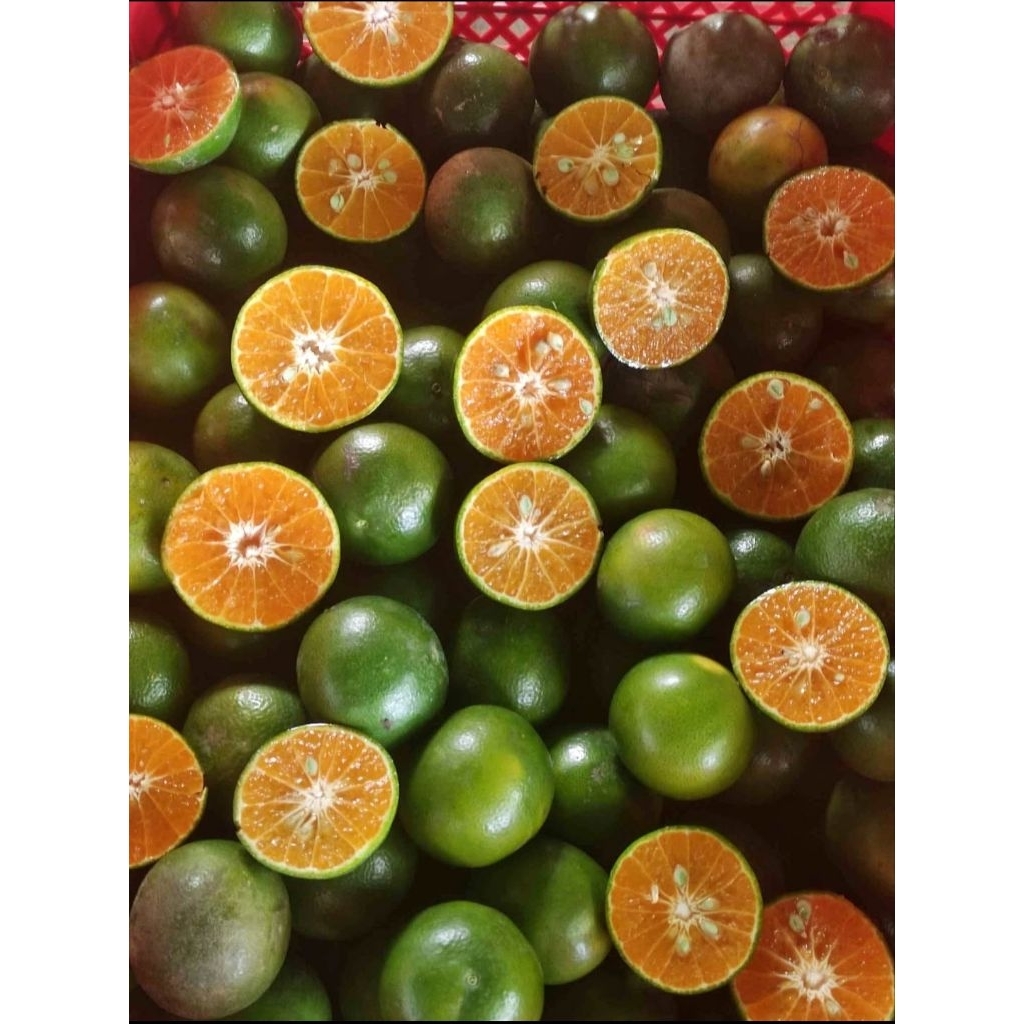 Jeruk Peras Es & Wedang Jeruk Siem Jember Jeruk Manis