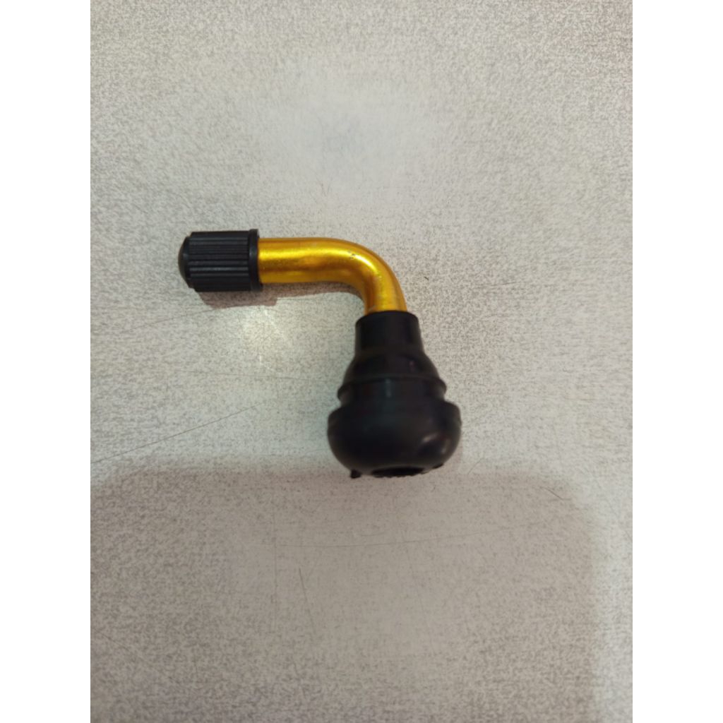 PENTIL TUBLESS KARET BAN MOTOR