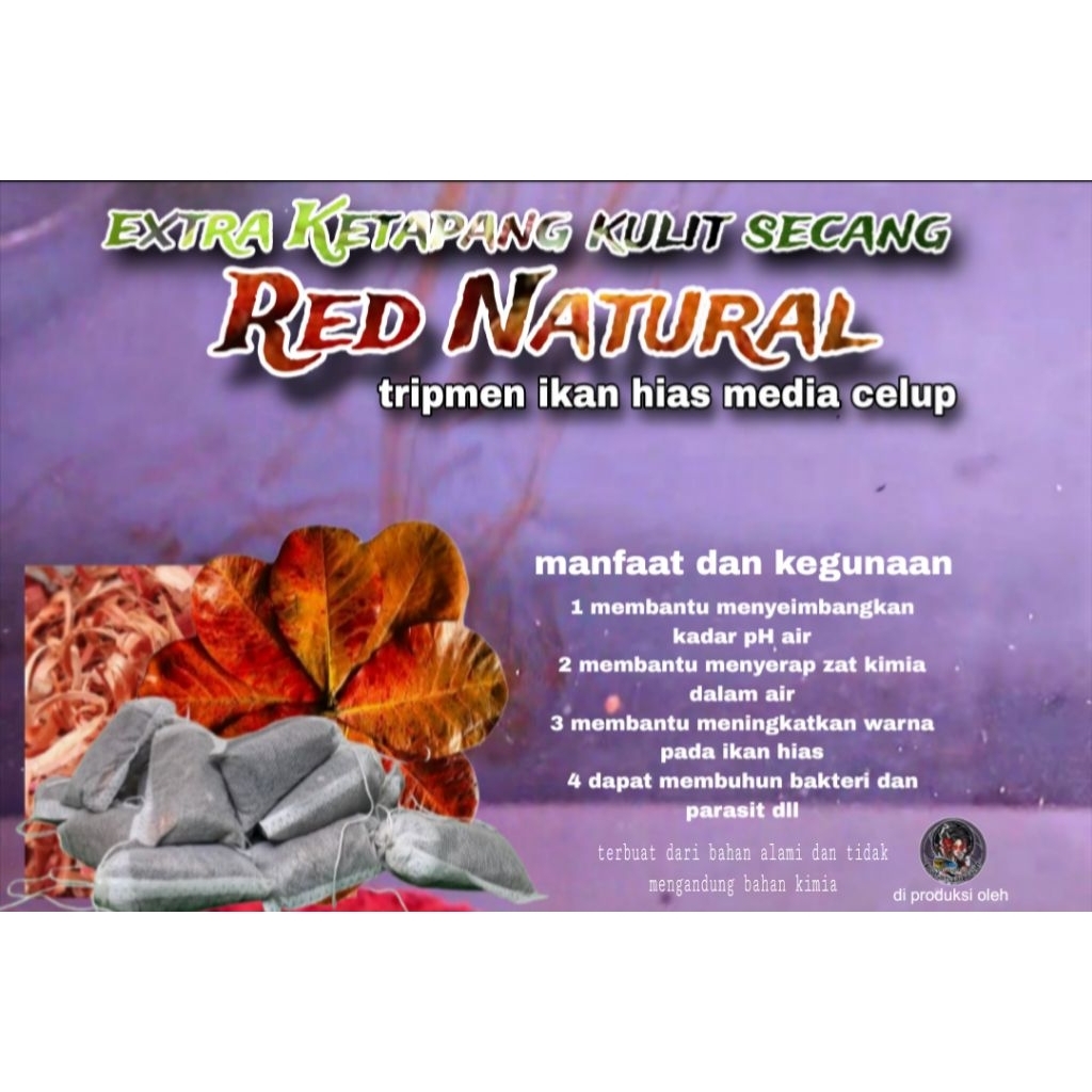 extra Ketapang kulit secang celup isi 15 kantong