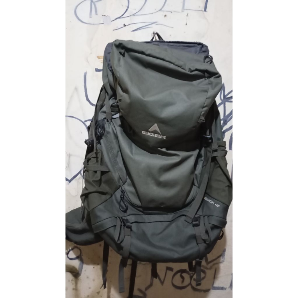carrier eiger ecosavior 45L
