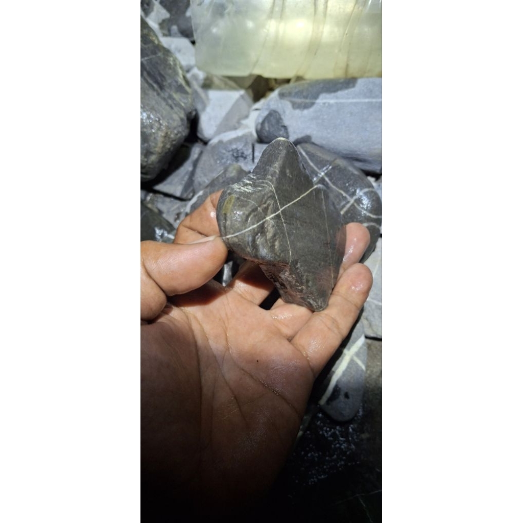 akik tapak jalak badar emas