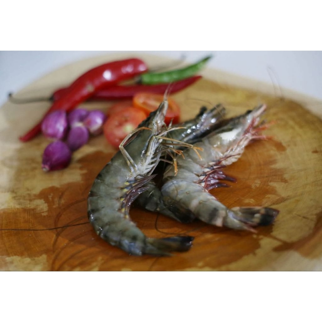 UDANG TIGER SUPER PREMIUM - UDANG WINDU 450g - 500g (SIP)