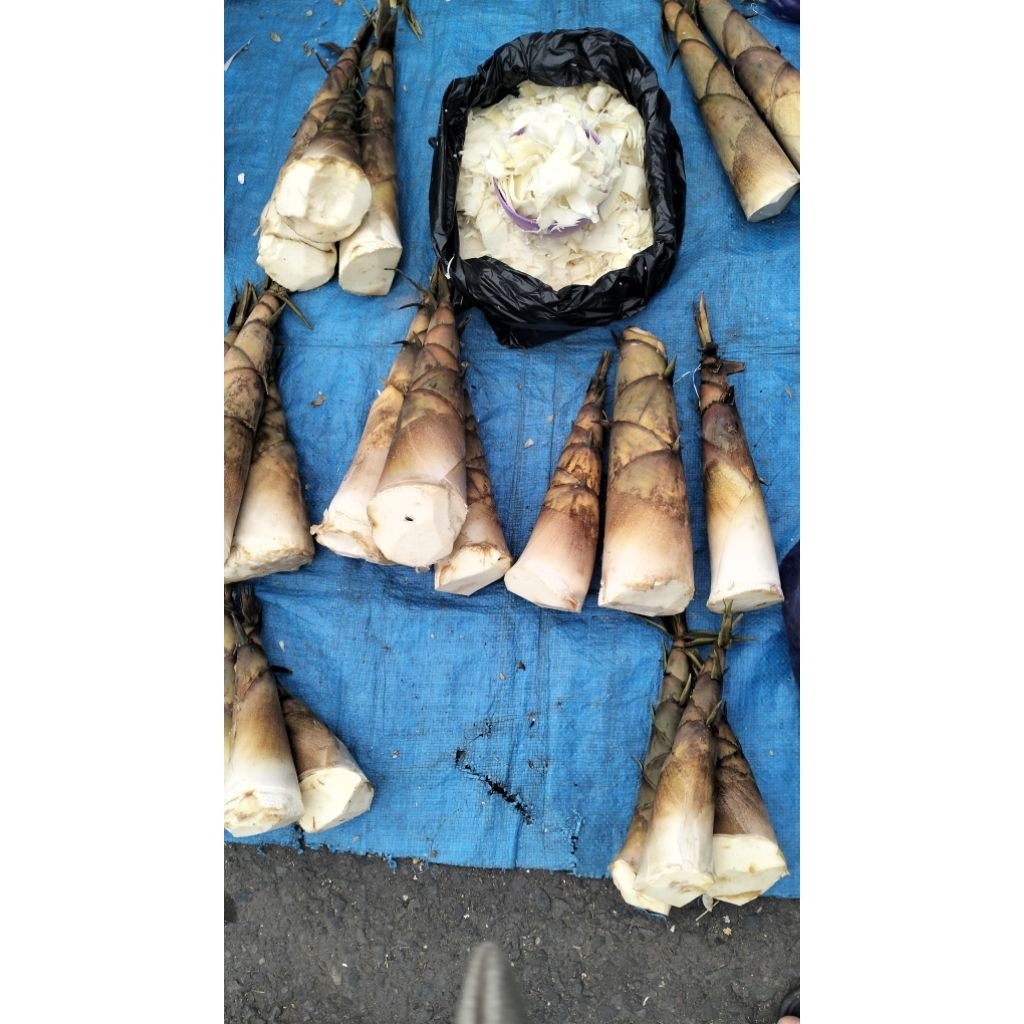 Sayur rebung / sayur bambu