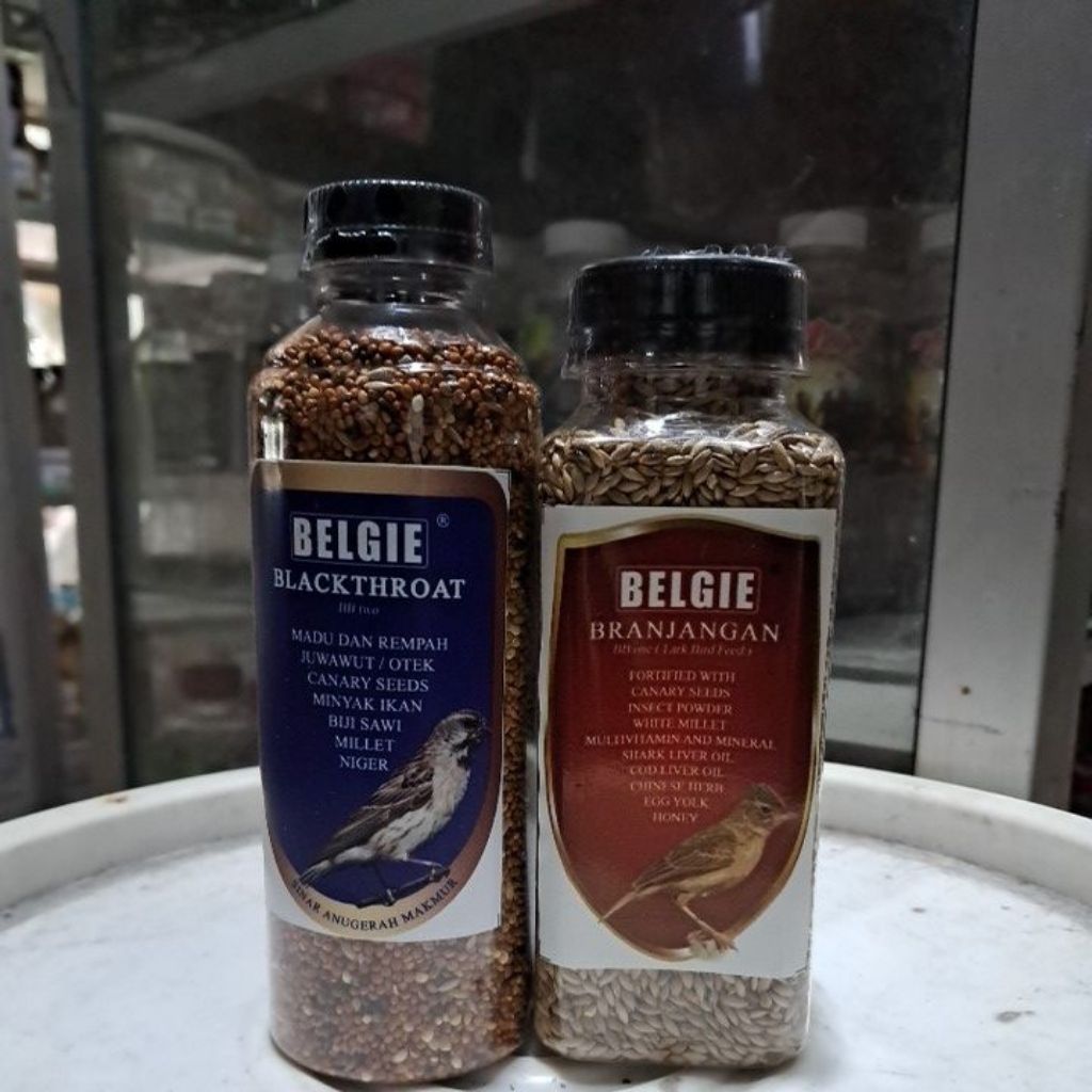 BELGIE BLACKTHROAT DAN BELGIE BRANJANGAN